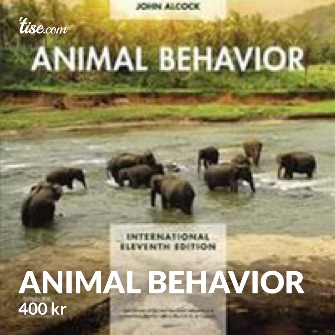 Animal Behavior