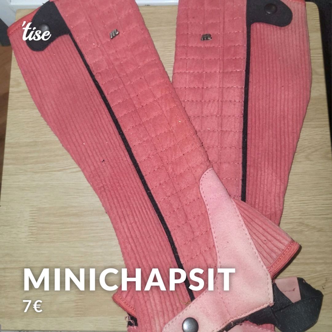 Minichapsit