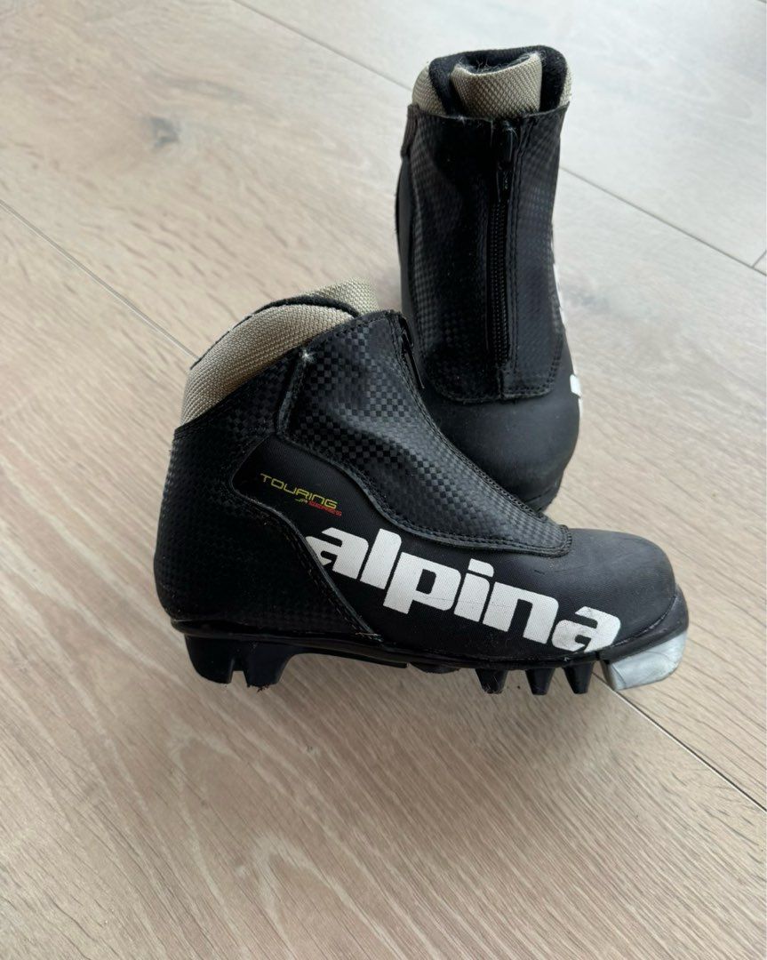 Alpina skisko