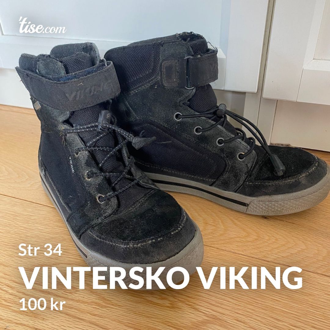 Vintersko Viking