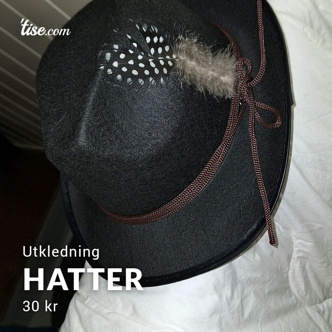 Hatter