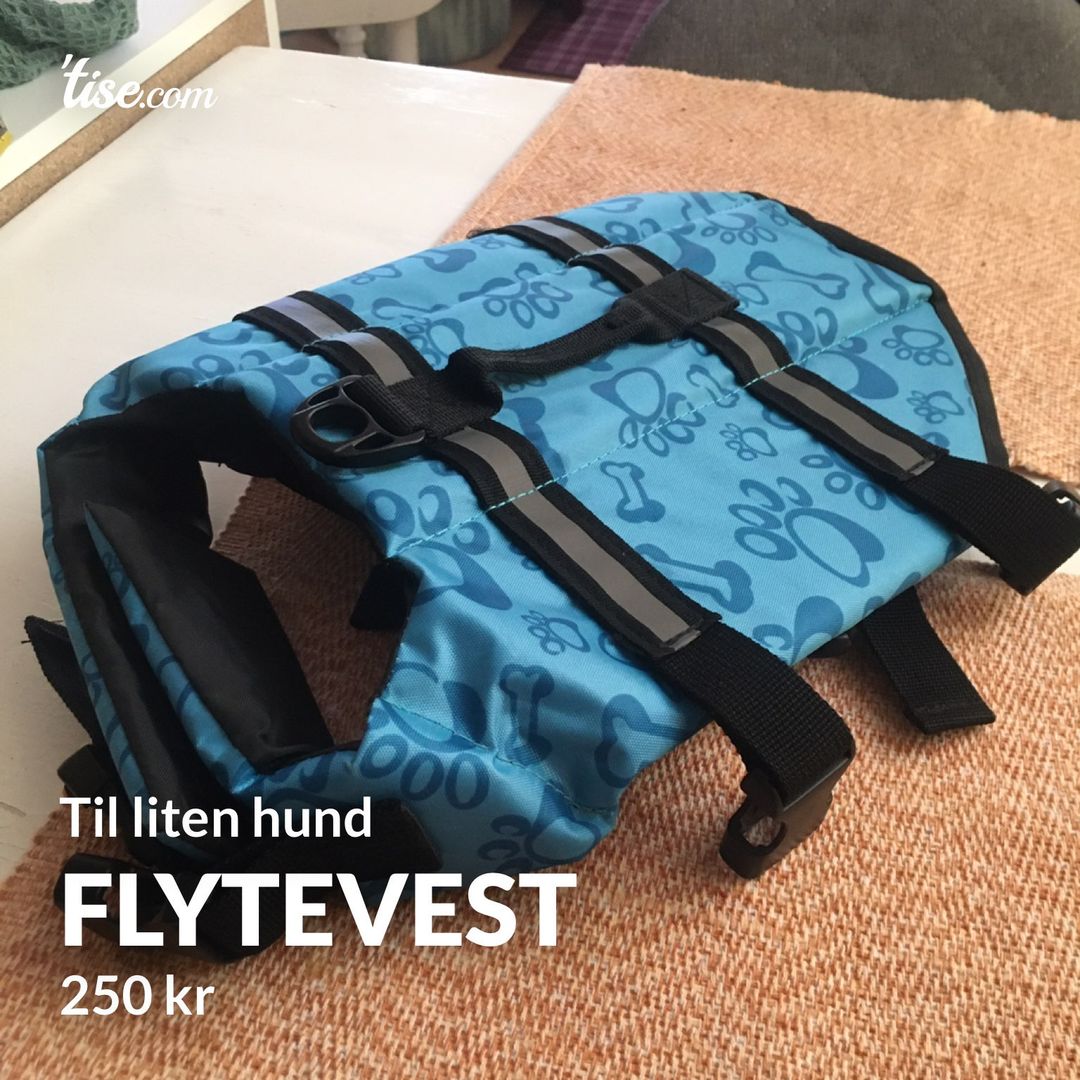 Flytevest