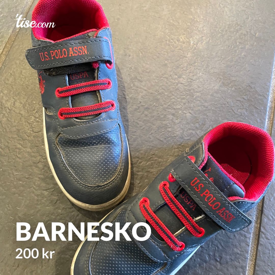 Barnesko