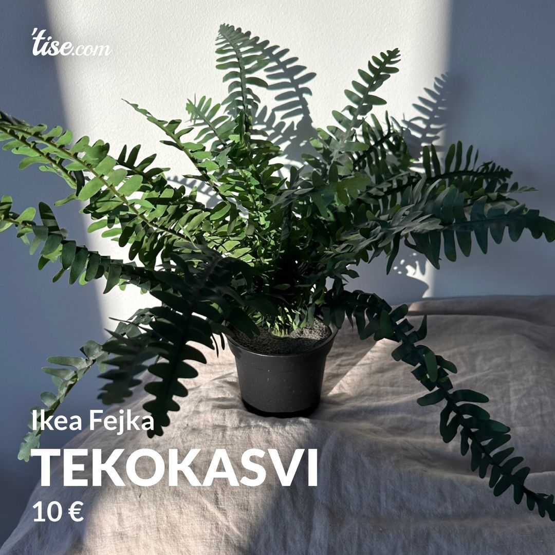 Tekokasvi