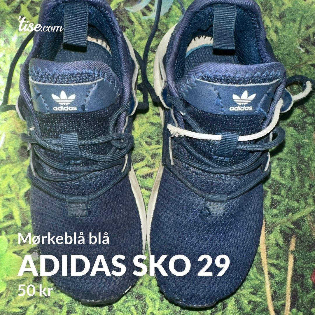 Adidas sko 29