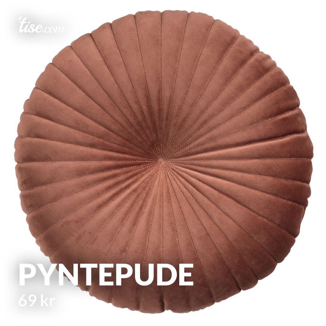 Pyntepude