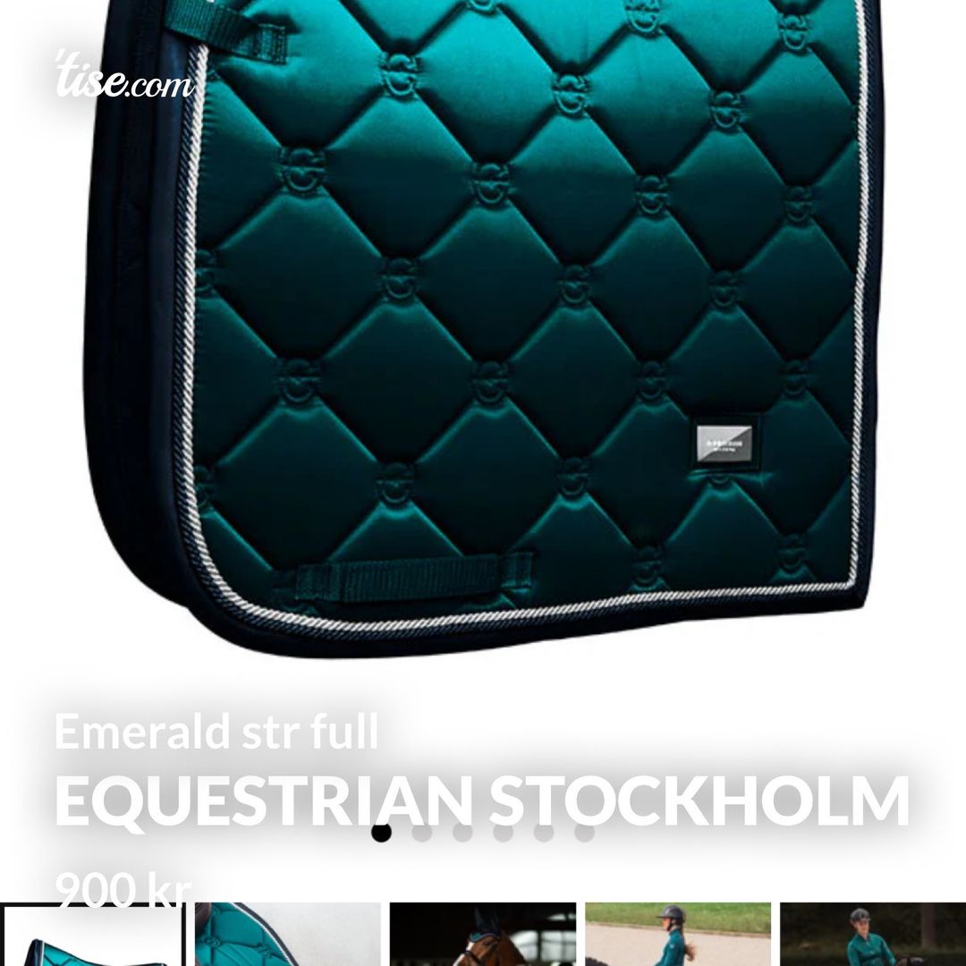 Equestrian stockholm