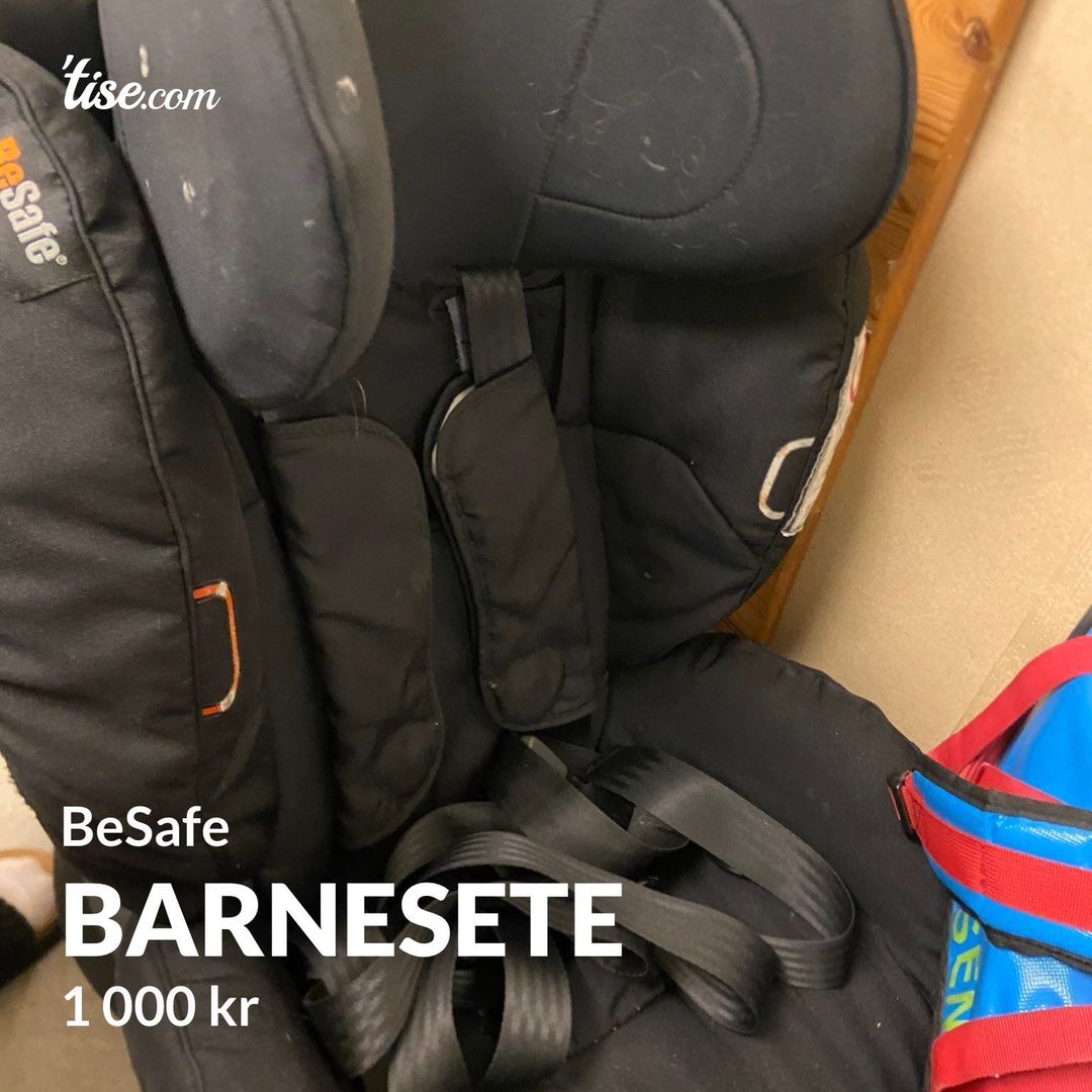 Barnesete