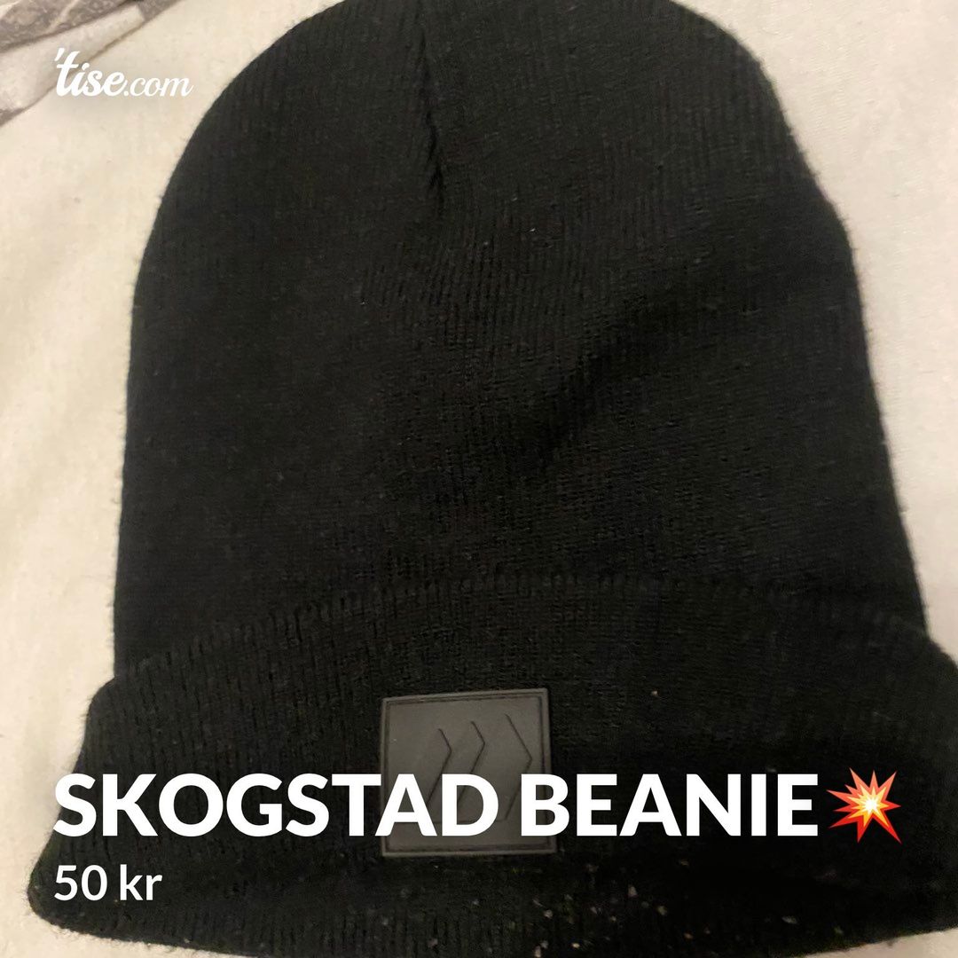 Skogstad Beanie💥