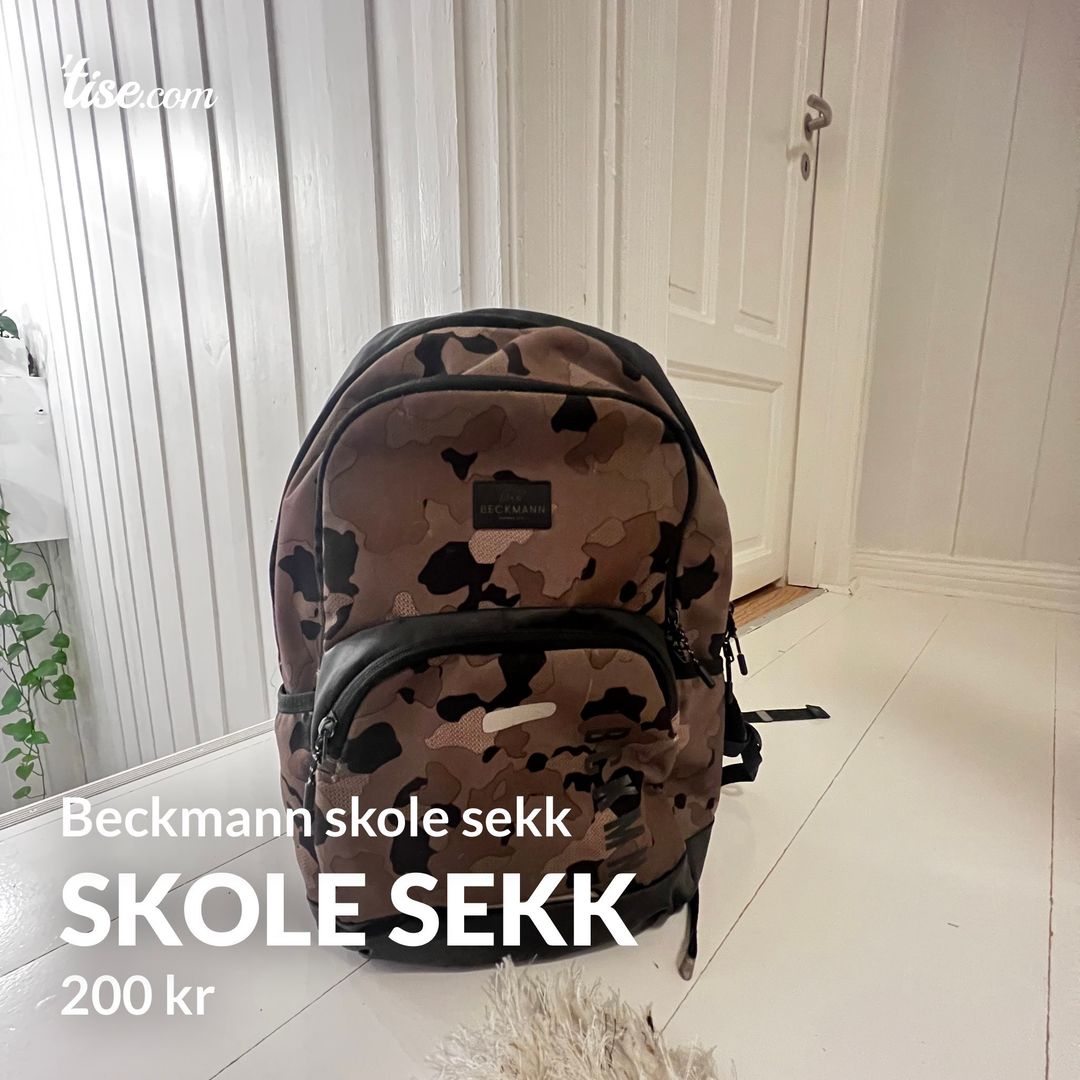 Skole Sekk