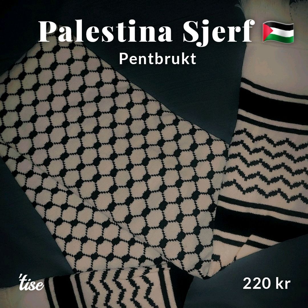 Palestina Sjerf 🇵🇸