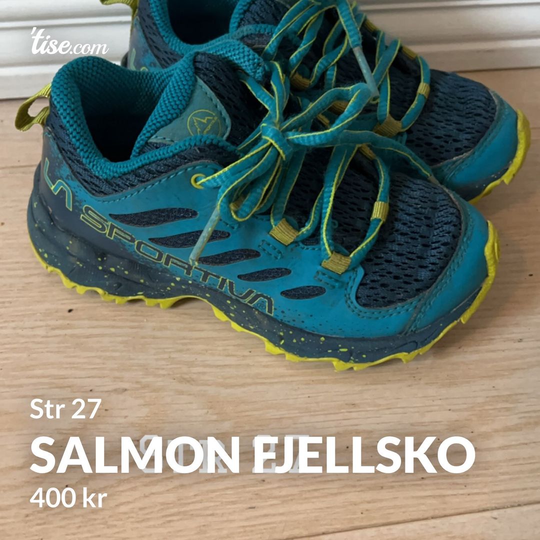 Salmon fjellsko