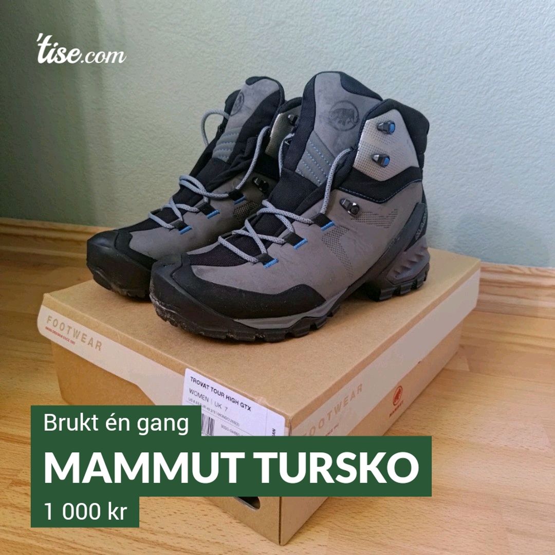 Mammut Tursko