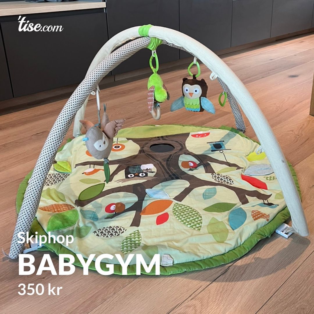 Babygym