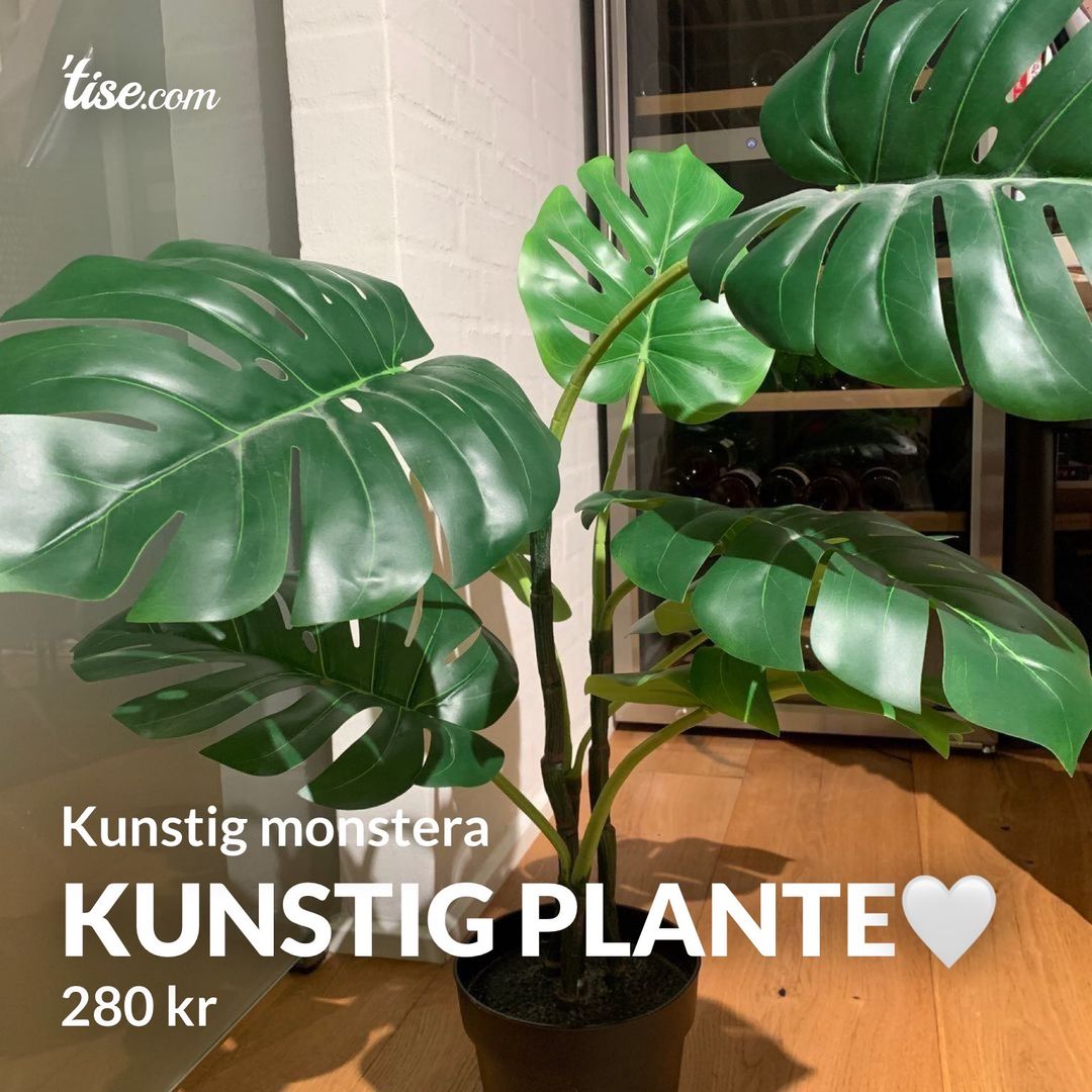 Kunstig plante🤍