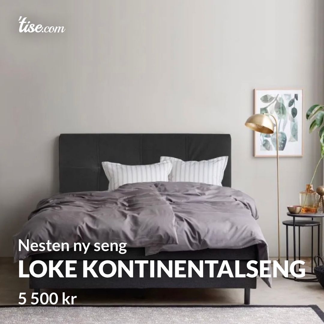 Loke kontinentalseng