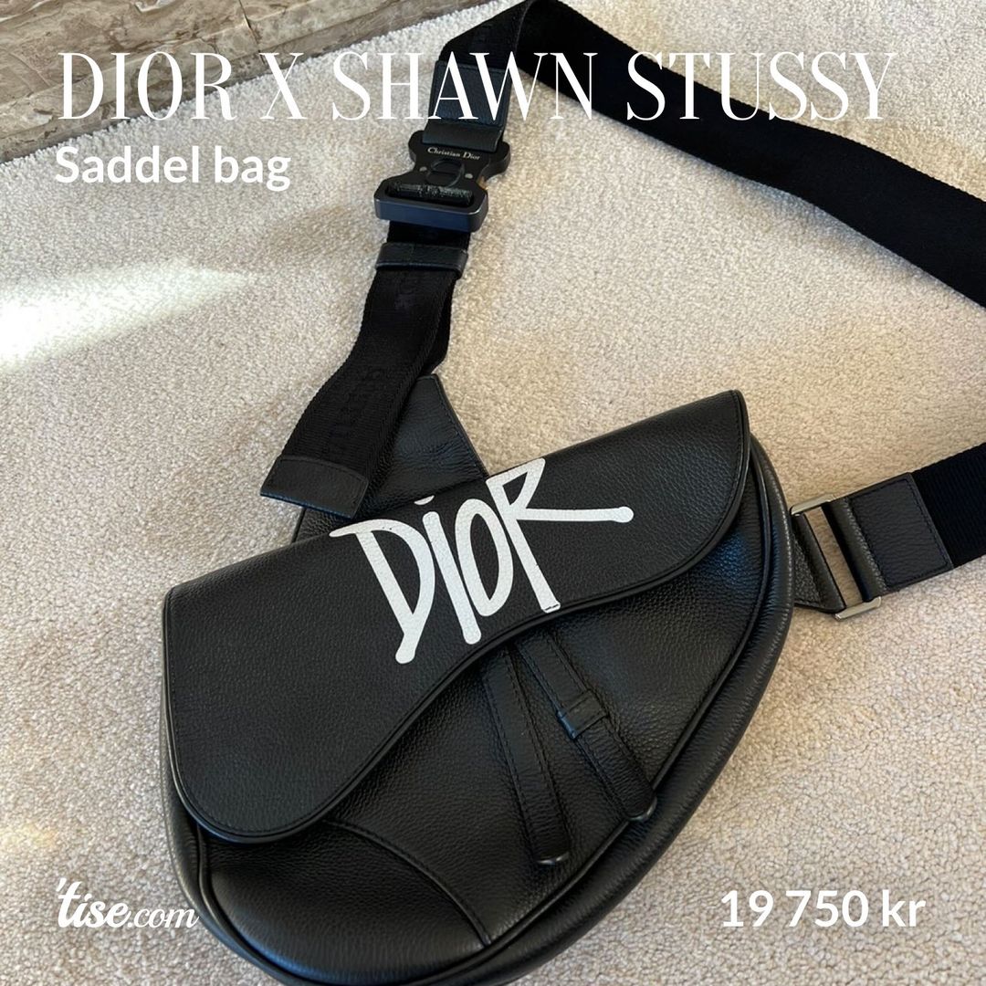 dior x shawn stussy