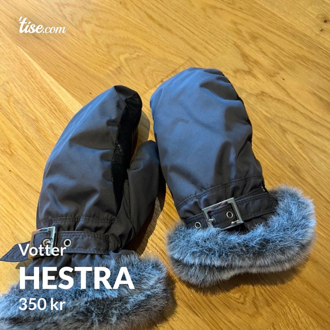 Hestra