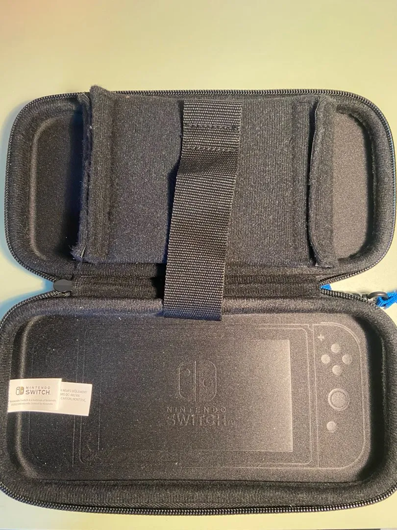 Nintendo Switch Bag