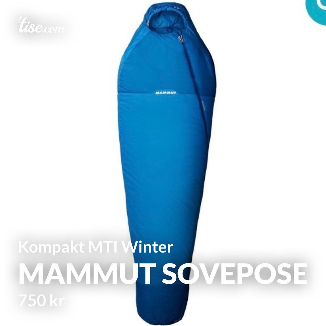 Mammut sovepose