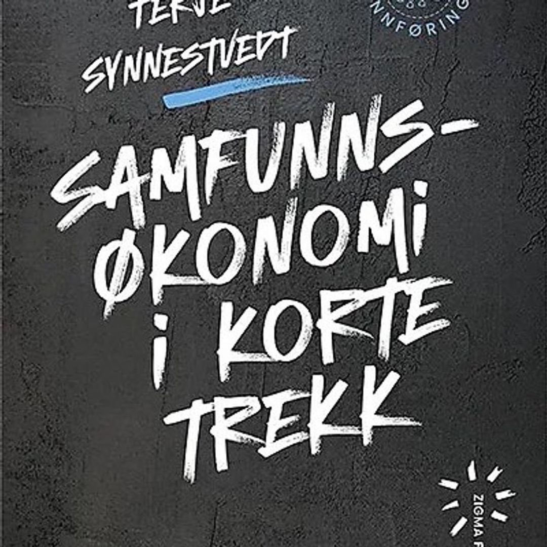 Samfunnsøkonomi