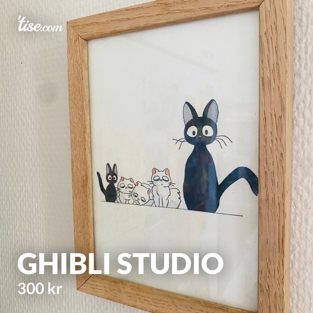 Ghibli Studio