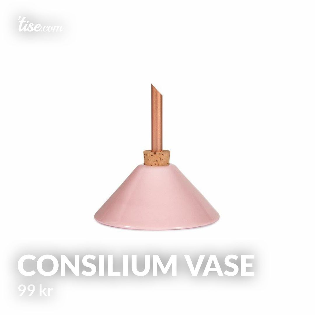 Consilium vase