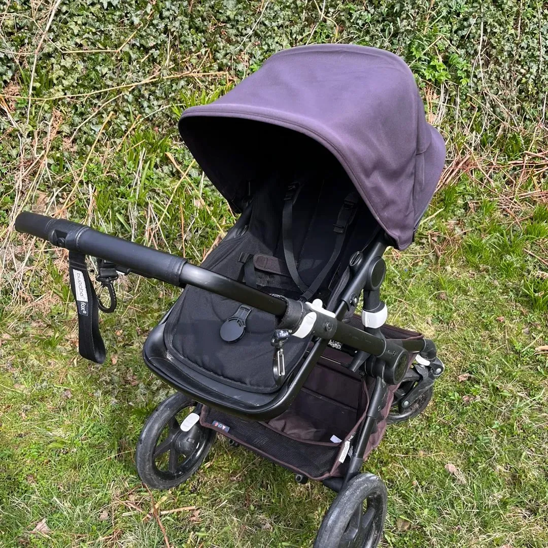 Bugaboo fox