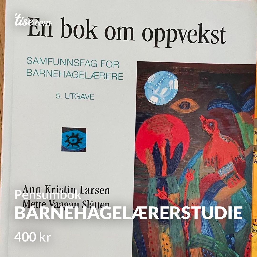 Barnehagelærerstudie