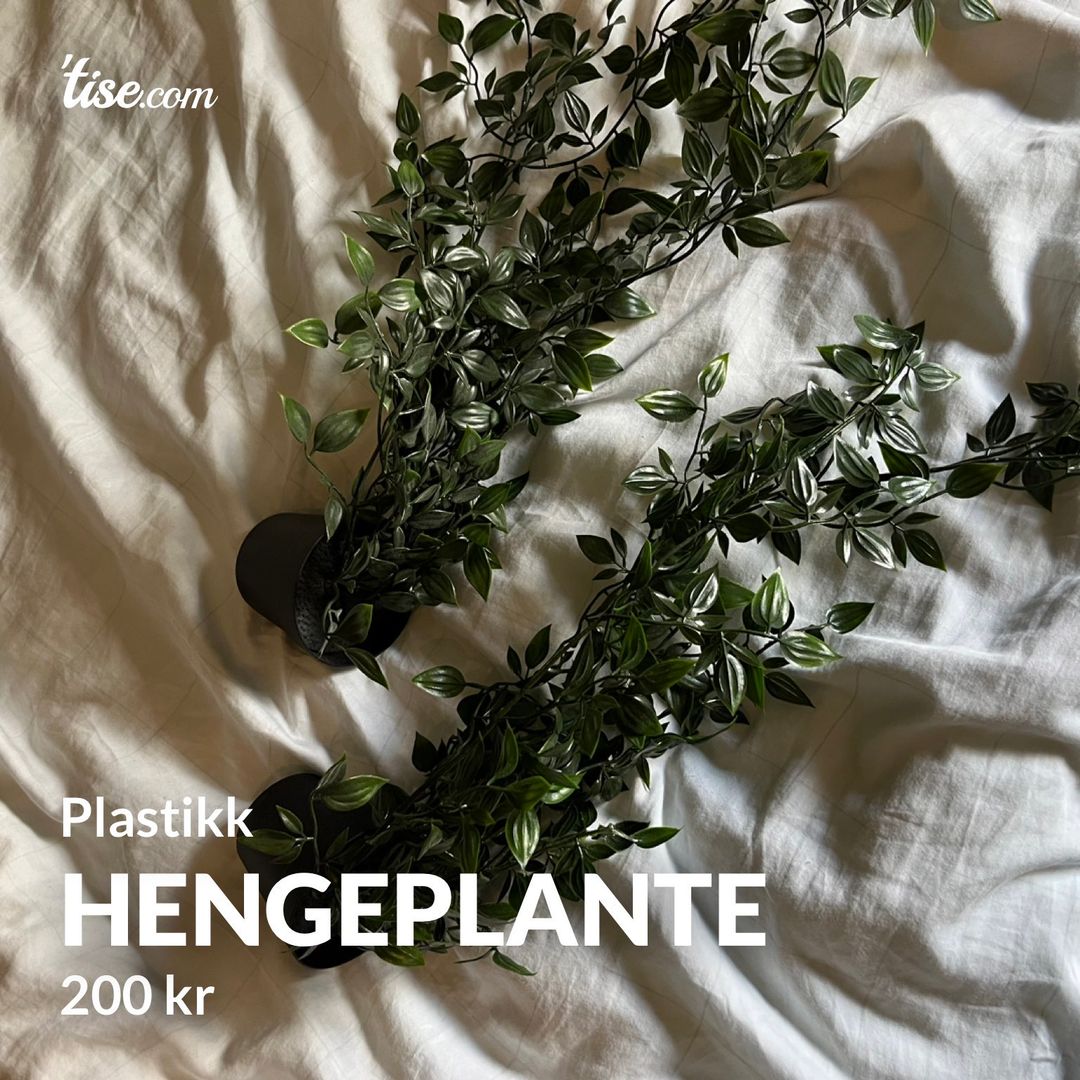 Hengeplante