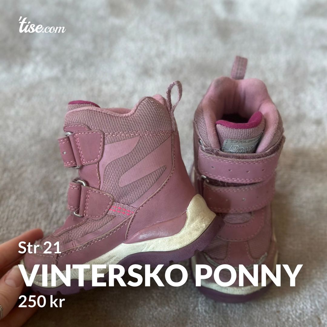 Vintersko Ponny