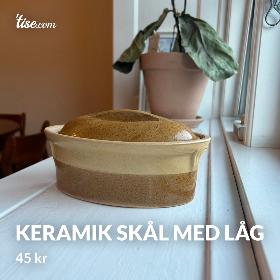 Keramik skål med låg