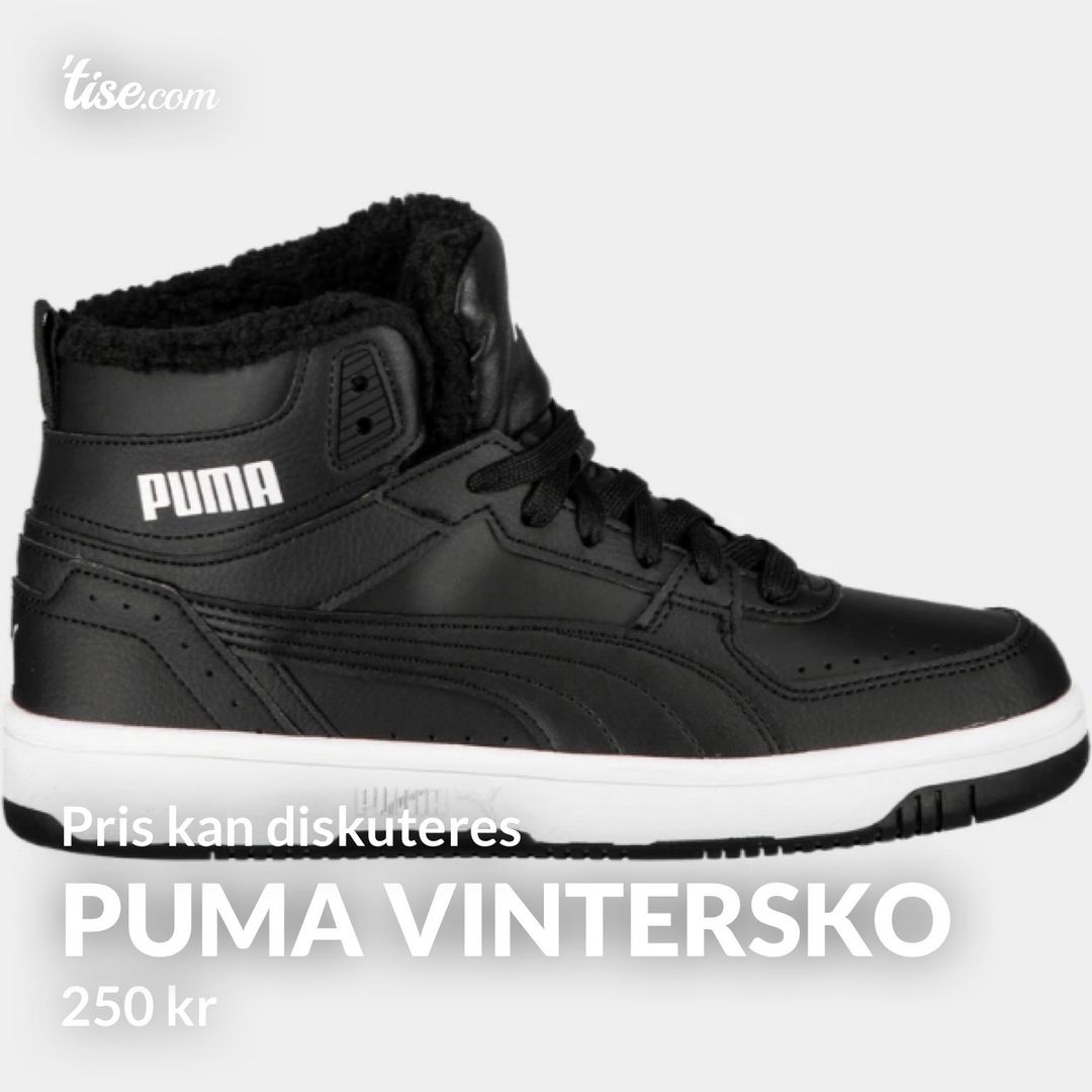 Puma vintersko