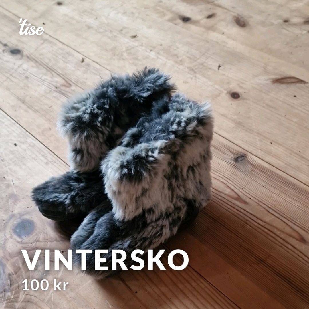 Vintersko