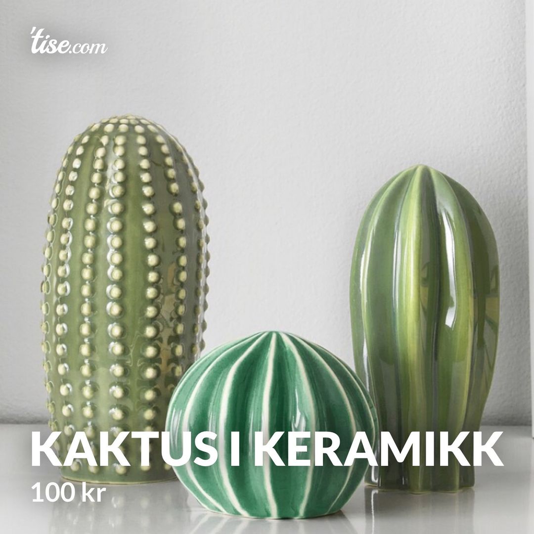 Kaktus i keramikk