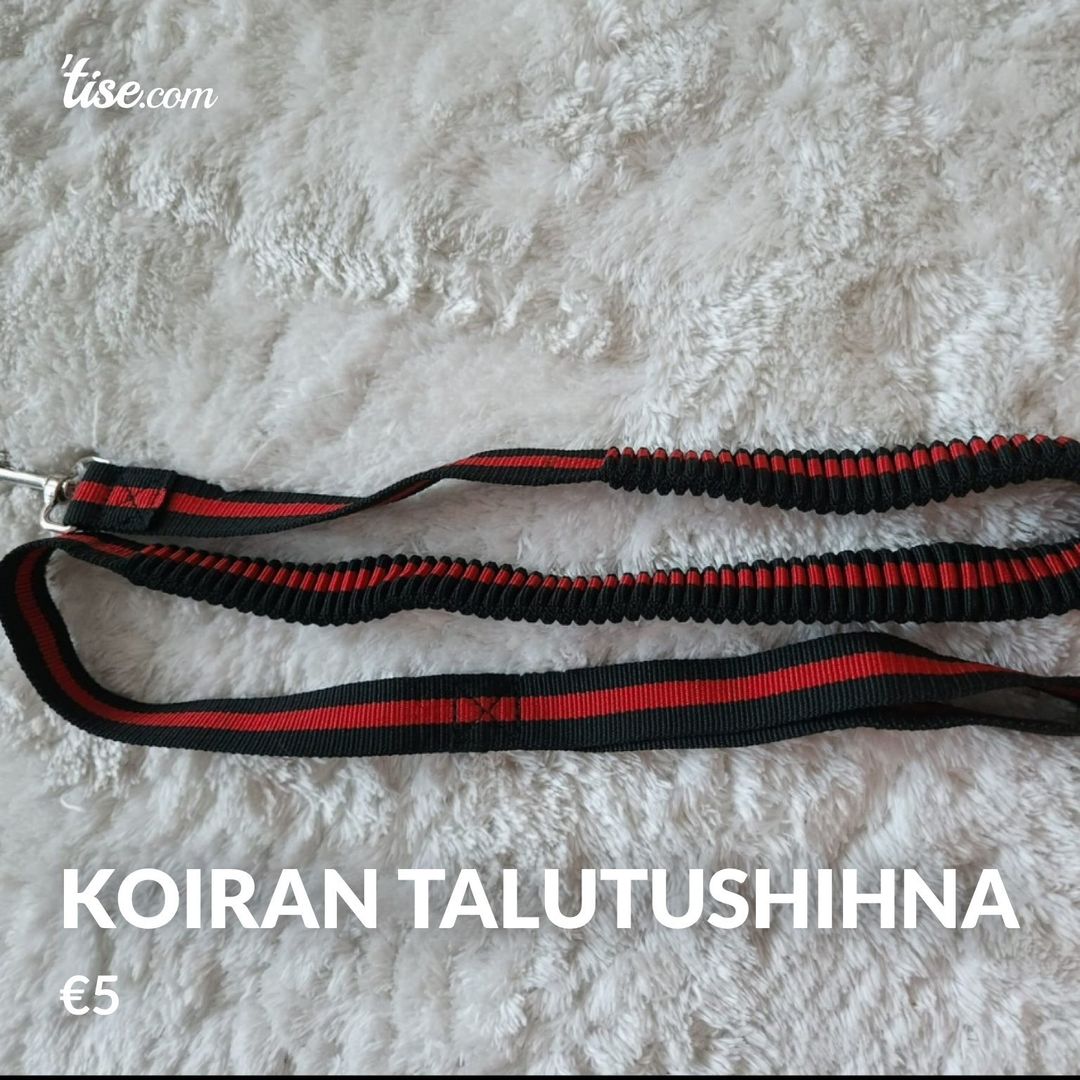 koiran talutushihna