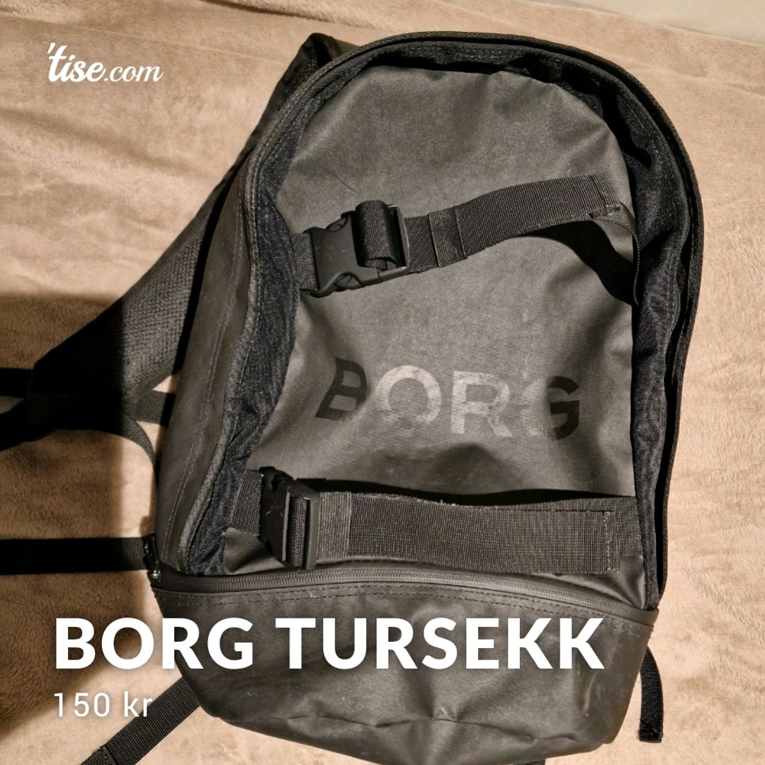 Borg Tursekk