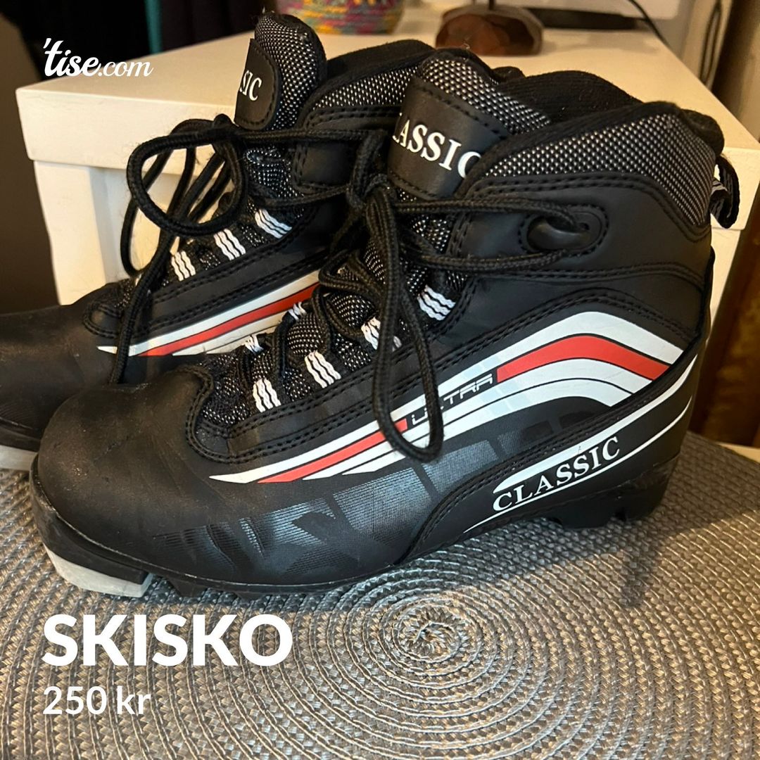 Skisko