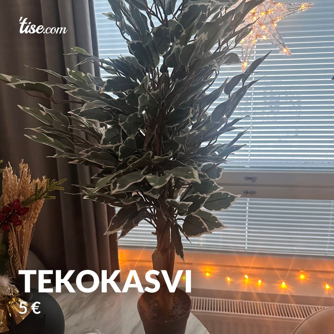 TEKOKASVI