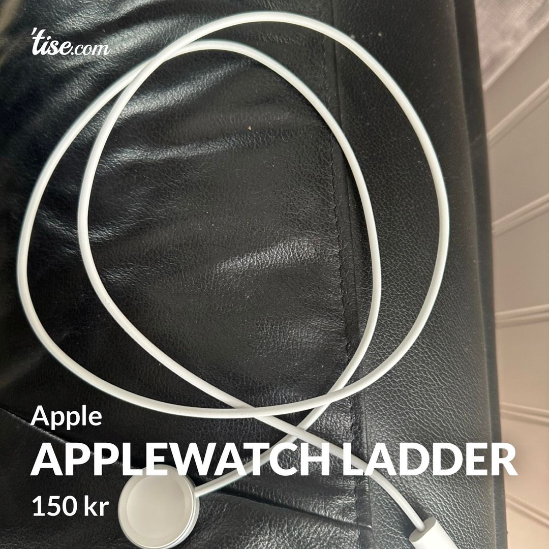 AppleWatch ladder