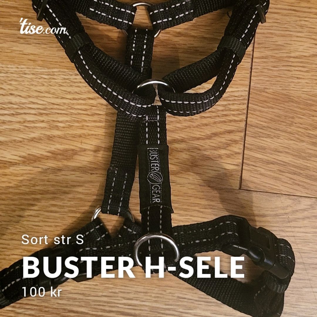 Buster H-sele