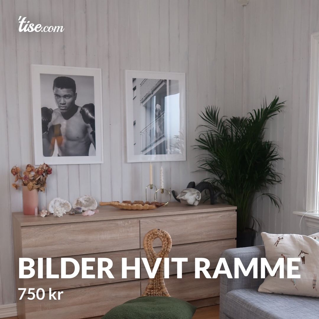 Bilder hvit ramme