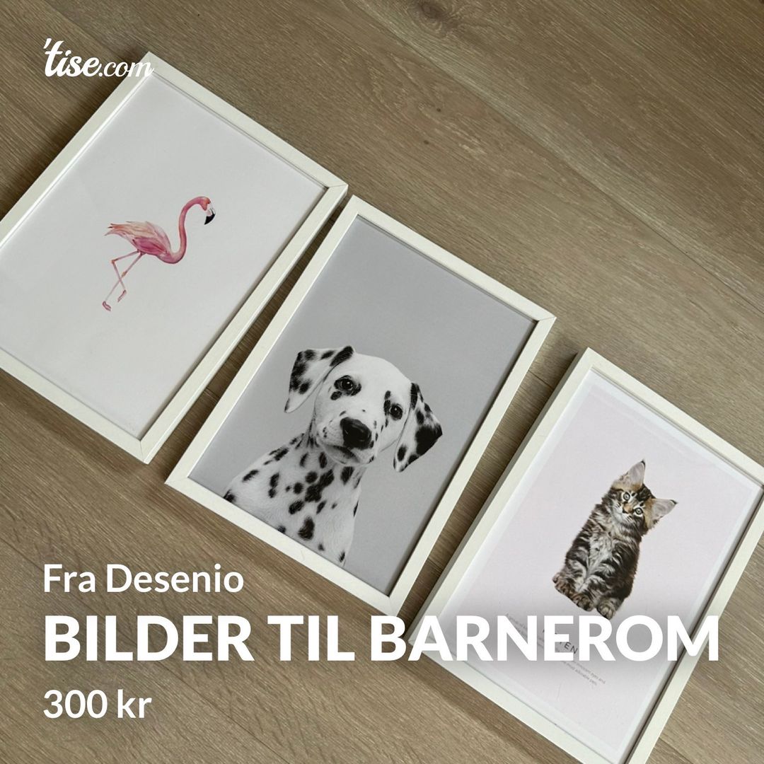 Bilder til barnerom