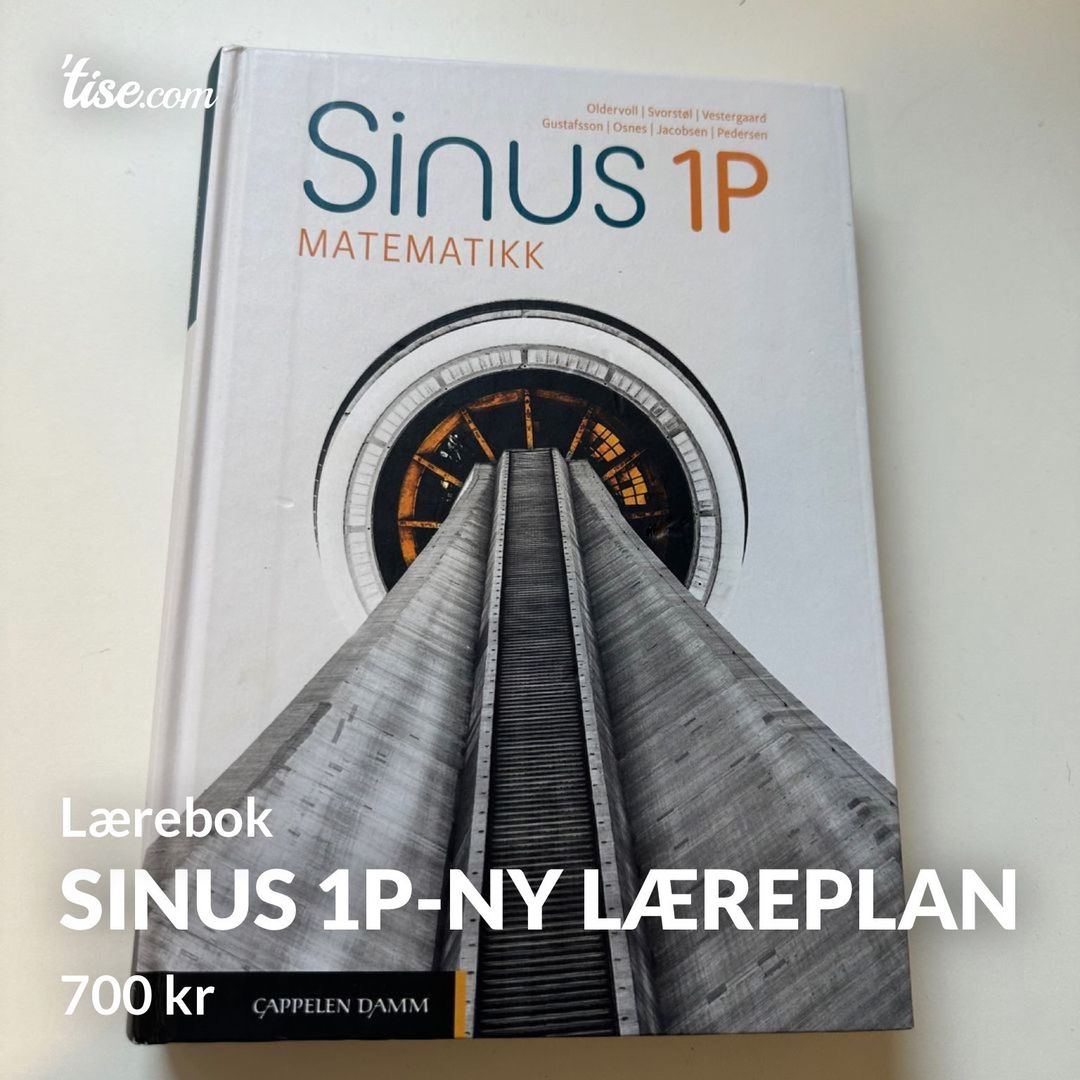 Sinus 1P-ny læreplan