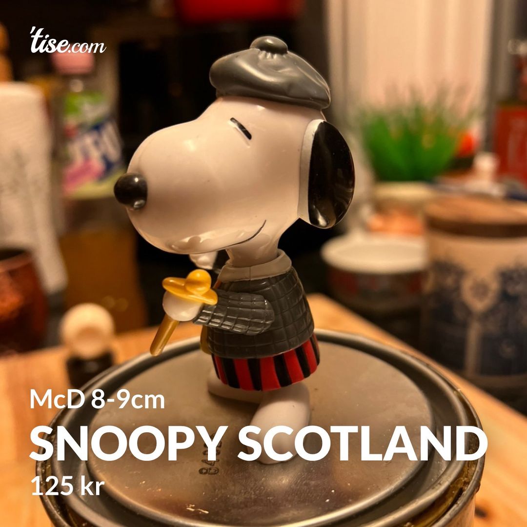 Snoopy Scotland