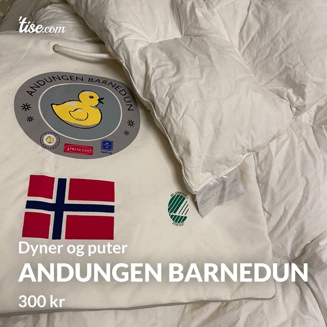 Andungen Barnedun