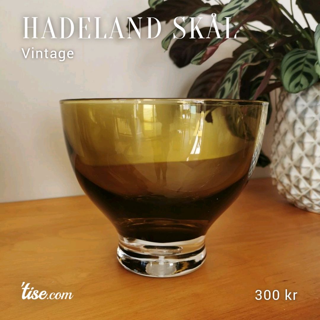 Hadeland Skål