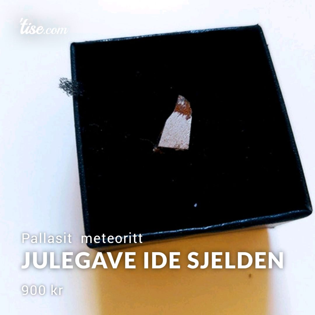 Julegave Ide Sjelden