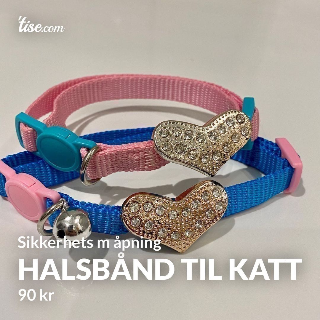 HALSBÅND TIL KATT