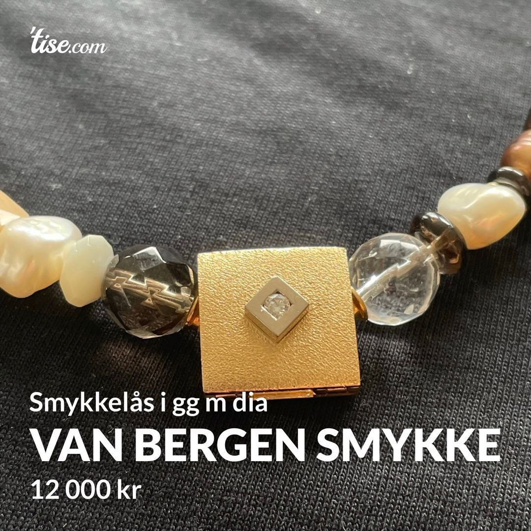 Van Bergen smykke